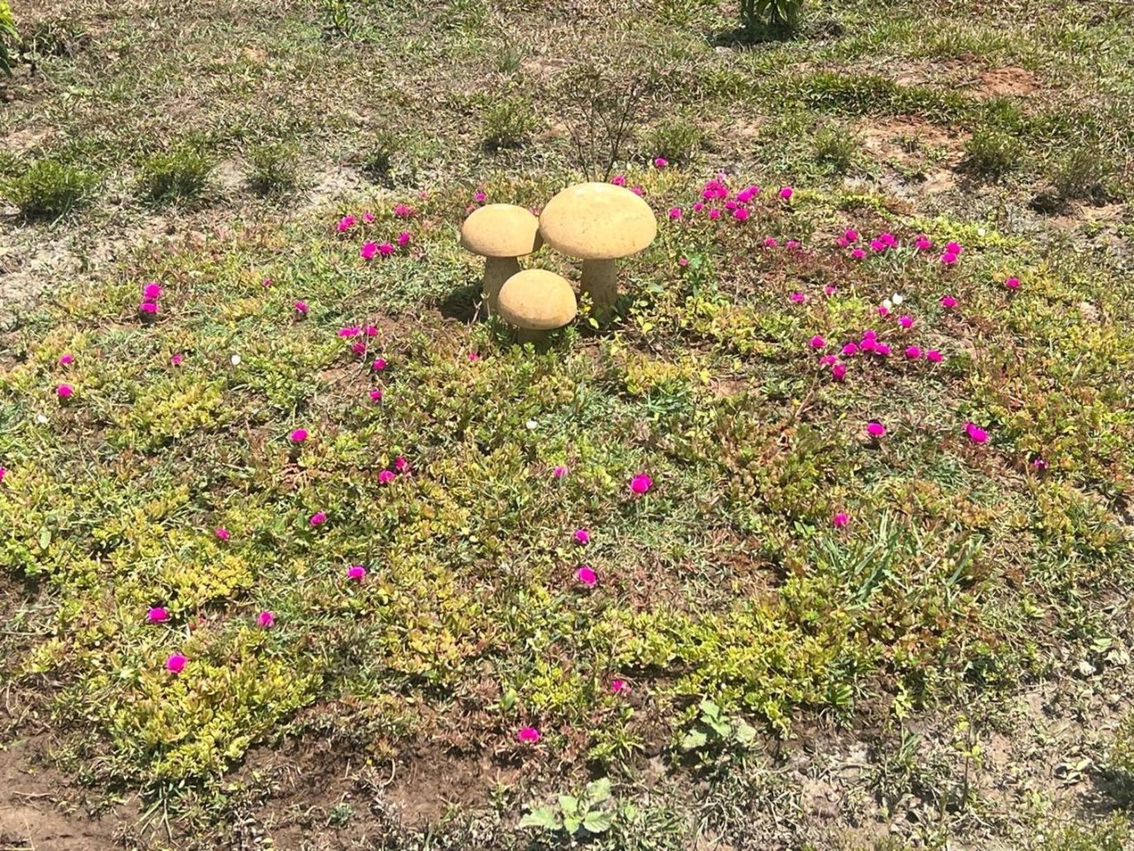 הוילה מודומלאי The Deer Meadows מראה חיצוני תמונה